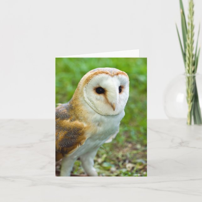 Agradecimento Cartão de Saudação Barn Owl (Frente)