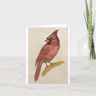 Agradecimento Cartão de Saudação com Pintura de um Cardeal
