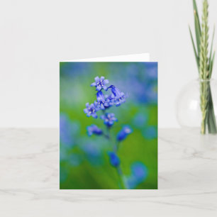 Agradecimento Cartão de saudação da flor campainha azul