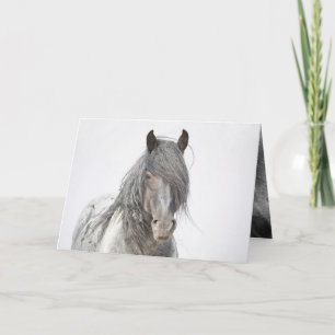 Agradecimento Cartão de Saudação de Cavalo Selvagem Blue Zeus Po