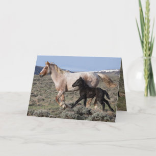 Agradecimento Cartão de Saudação de Cavalo Selvagem - Mare Selva