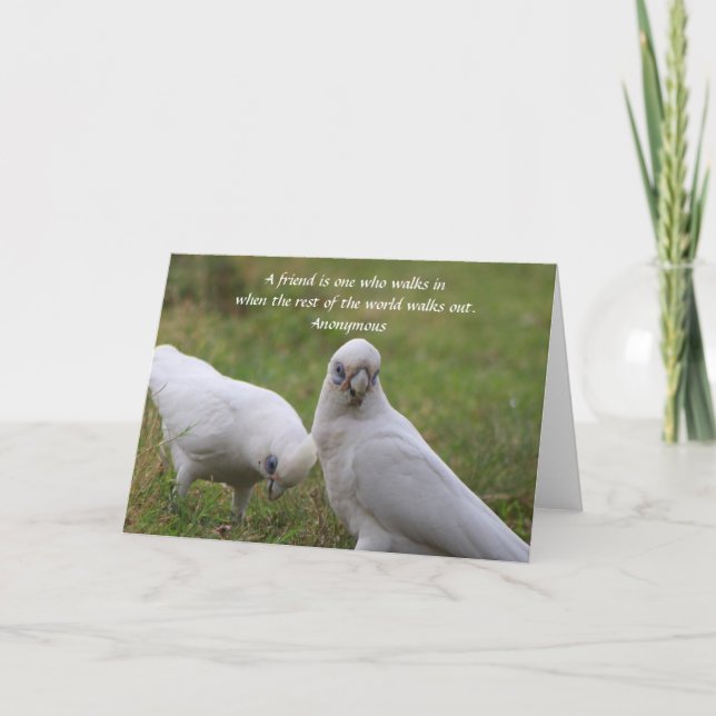 Agradecimento Cartão de Saudação de Citação de Amizade Corella (Frente)