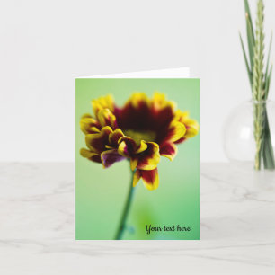 Agradecimento Cartão de saudação de flor da margarida vermelha e