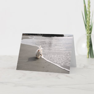 Agradecimento Cartão de Saudação de Foto Westie Beachcombing