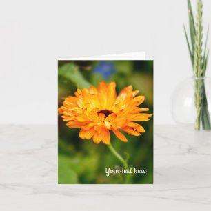 Agradecimento Cartão de saudação de Marigold Laranja
