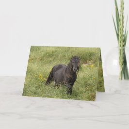 Agradecimento Cartão de Saudação de Stallion da Ilha Wild Sable