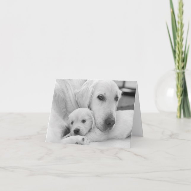 Agradecimento Cartão de saudação de Vazio (Frente)