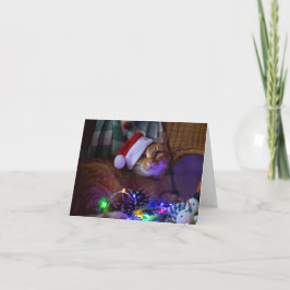 Agradecimento Cartão de Saudação de Vazio de Cat Natal