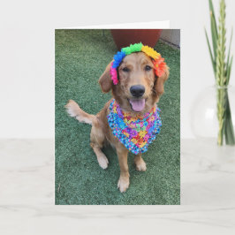 Agradecimento Cartão de saudação de verão do ouro Retriever