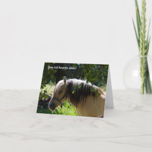 Agradecimento Cartão de saudação do cavalo Fjord Norueguês