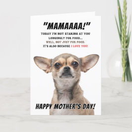 Agradecimento Cartão de saudação do Dia de as mães Chihuahua