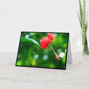 Agradecimento Cartão de Saudação Dobrado do Hibiscus