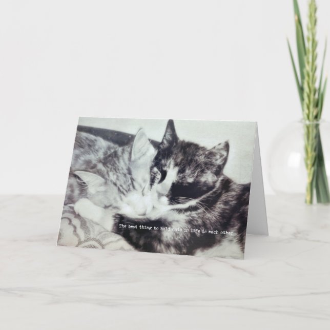 Agradecimento Cartão de Saudação KITTEN NAP (Frente)