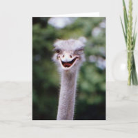 Cartão de Saudação Ostrich Engraçado (Personalizáv