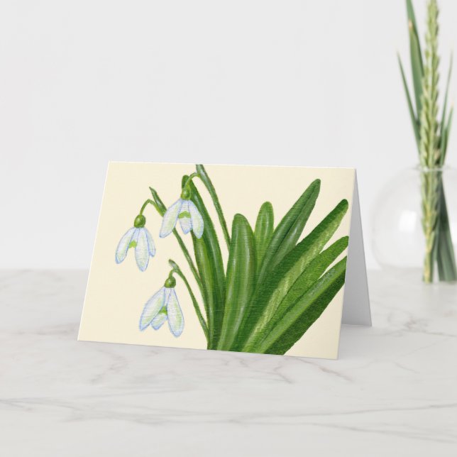 Agradecimento Cartão de Snowdrops (Frente)