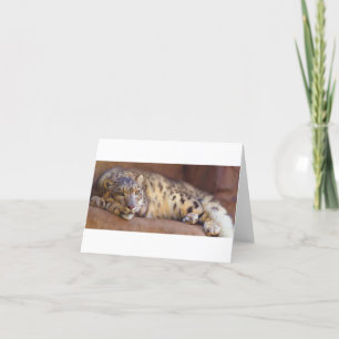 Agradecimento Cartão de vazio Leopardo da Neve, relaxante e peri