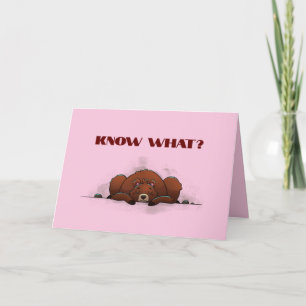 AGRADECIMENTO CARTÃO DE VOCÊ PERDIDA INPORTÁVEL