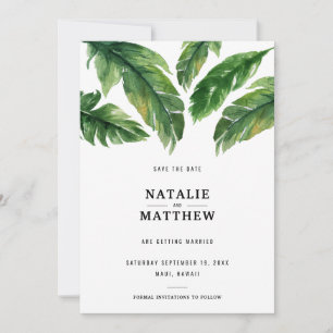 Agradecimento Economias tropicais modernas da folha o cartão de