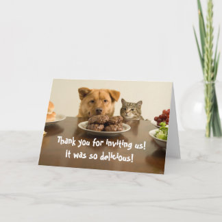 Agradecimento Engraçado cão e gato te obrigado pelo cartão de ja