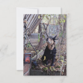 Agradecimento Livro de figurinos de bruxa Cartão de foto de cach