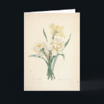 Agradecimento Narciso pelo Cartão de condolências botânico de<br><div class="desc">" Pierre-Joseph Redouté (10 de julho de 1759 em Santo-Hubert, em Bélgica - 19 de junho de 1840 em Paris), era um pintor e um botânico belgas, conhecidos para seus watercolours dos rosas, dos lírios e das outras flores em Malmaison. Foi alcunhado "Raphael das flores". Era um artista oficial da...</div>