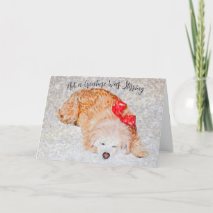 Agradecimento Nenhuma criatura estava tirando o cartão de feriad