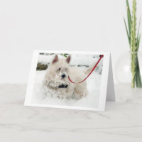 O aniversário do cartão de cumprimentos de Westie