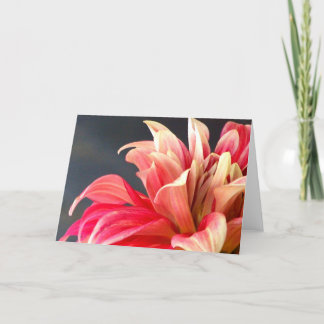 Agradecimento O cartão de qualquer ocasião.