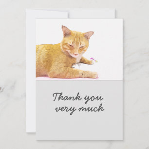 Agradecimento O gato laranja está no cartão de fundo branco