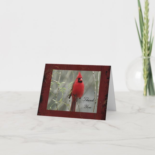 Agradecimento Obrigado cardinal lindo da foto você cartão de (Frente)