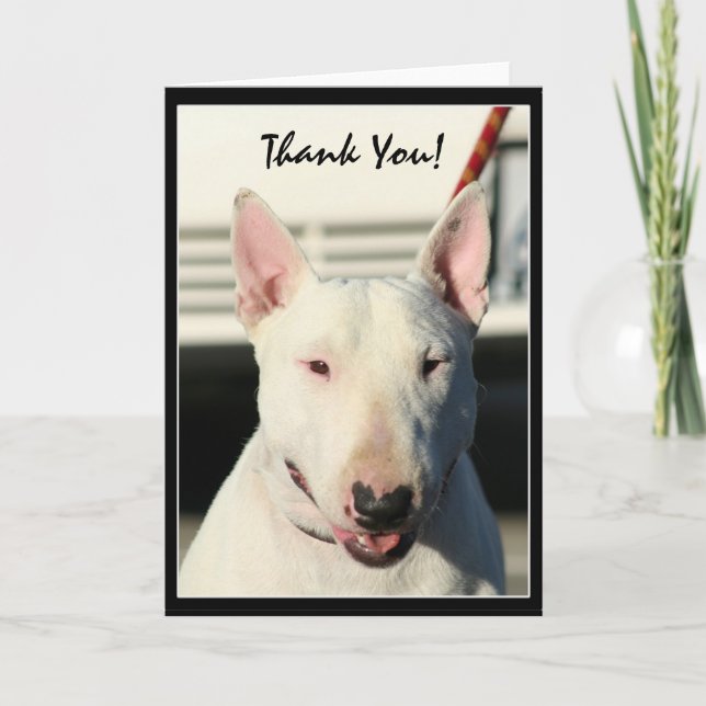 Agradecimento Obrigado cartão de bull terrier (Frente)