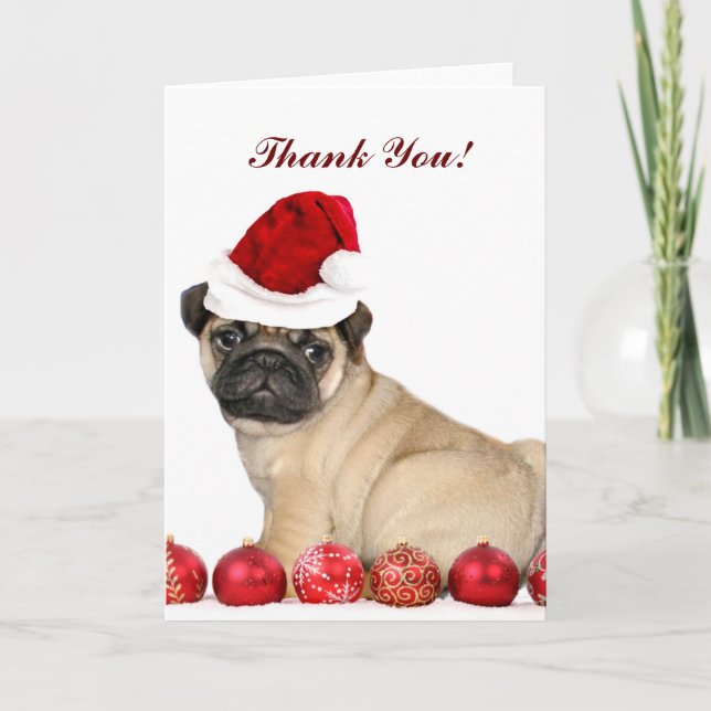 Agradecimento Obrigado Cartão de cão de Natal Pug (Frente)