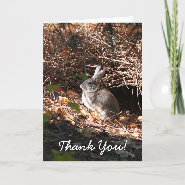 Agradecimento Obrigado Cartão de Saudação Bunny Rabbit (Frente)