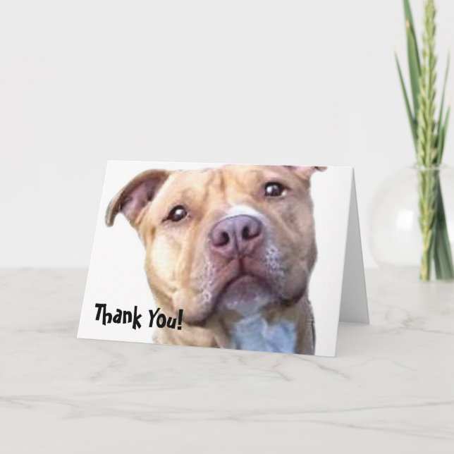 Agradecimento Obrigado Cartão de saudação Pitbull (Frente)