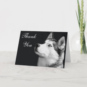 Agradecimento Obrigado Cartão de Saudação Siberiano Husky