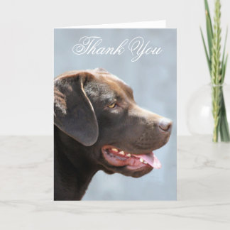 Agradecimento Obrigado cartão do cão de labrador retriever