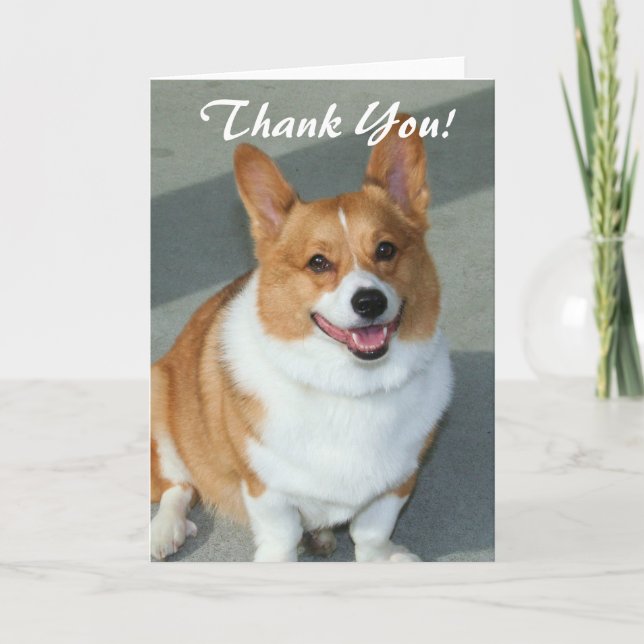 Agradecimento Obrigado cartão do corgi de Galês (Frente)