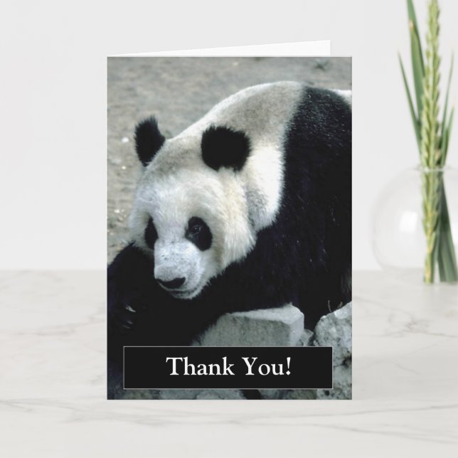 Agradecimento Obrigado cartão do urso de panda (Frente)