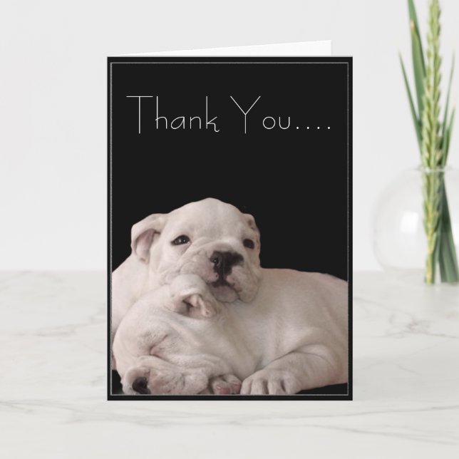 Agradecimento Obrigado cartão dos filhotes de cachorro do (Frente)