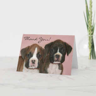 Agradecimento Obrigado cartão dos filhotes de cachorro do