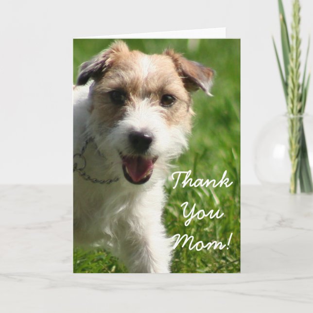 Agradecimento Obrigado Mãe Jack Russell Terrier Cartão De Saudaç (Frente)