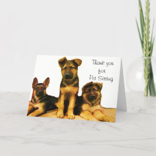 Agradecimento Obrigado pelo cartão de German shepherd Pet Sittin