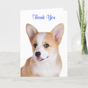 Agradecimento Obrigado Pembroke Welsh Corgi - Cartão de Saudação