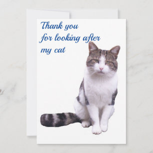 Agradecimento Obrigado por cuidar do meu cartão de gato