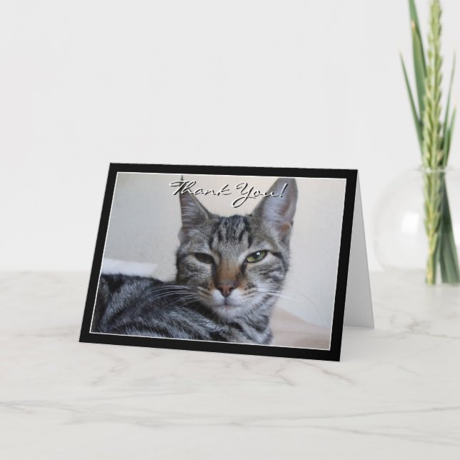 Agradecimento Obrigado Tabby Cat - Cartão de saudação (Frente)