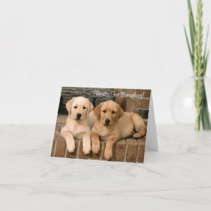 Agradecimento Obrigados Labrador Retriever Puppies Cartão de Sau