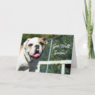 Agradecimento Obtenha logo um cartão de saudação de buldogue