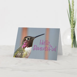 Agradecimento Olá Belo Cartão com fotos de beija-flor da Anna Ro