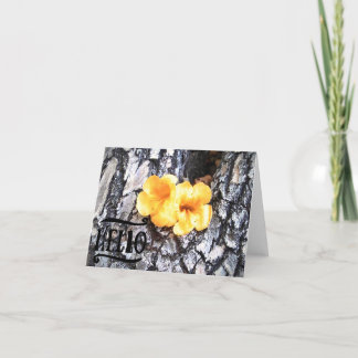 Agradecimento Olá, Cartão de Saudação de Vazio com Allamanda Ama