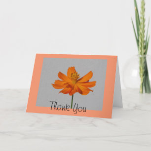 Agradecimento Orange Cosmos Obrigado Cartão de Saudação